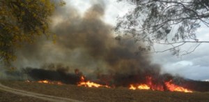 299a135eb6d530b1a7a2ce8f948c32ba