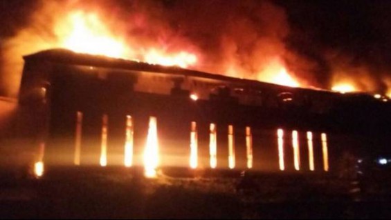 (Foto www.24horas.cl)