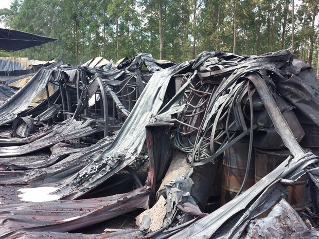 Fogo provocou a queima de 20 mil litros de óleo e 20 toneladas de graxa (Foto: Eduardo Sozo/EPTV)