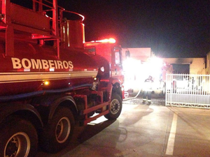 Fogo consumiu depósito de empresa (Foto: Fernando Martins/Tribuna Araraquara)