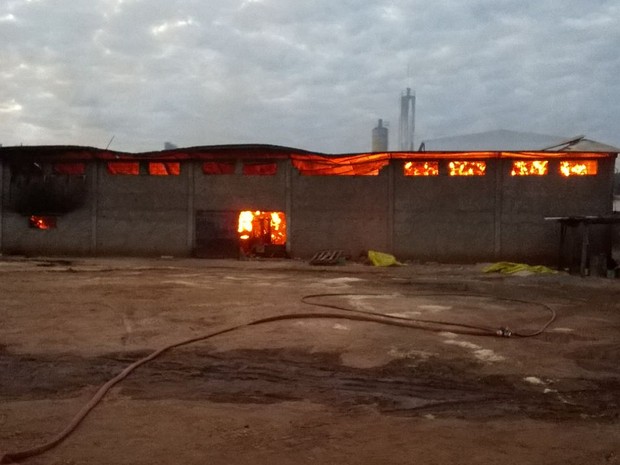 Boa parte da fábrica foi consumida pelo fogo (Foto: Corpo de Bombeiros / Divulgação)