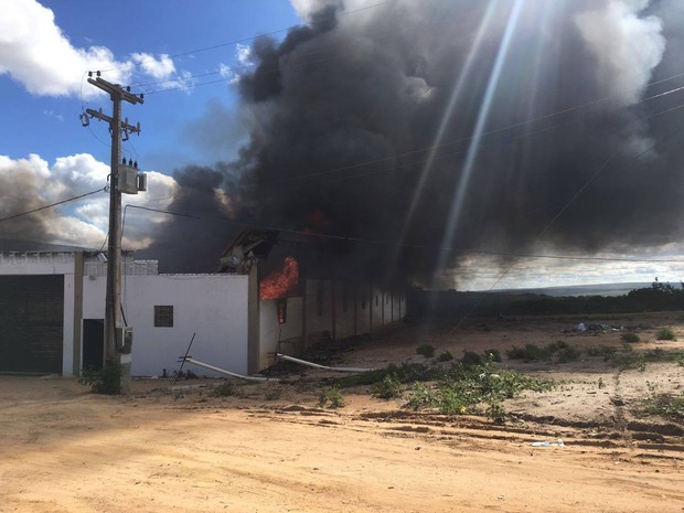 Bombeiros não souberam informar a causa do incêndio (Foto: Reprodução/Facebook ONG Amigos do Bem)