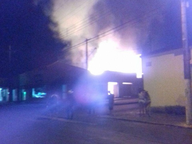 Gato conseguiu se esconder e sobreviveu (Foto: Diego Carolino dos Santos/ Arquivo pessoal)
