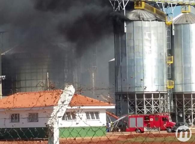 (Foto: Marcos Donzeli)