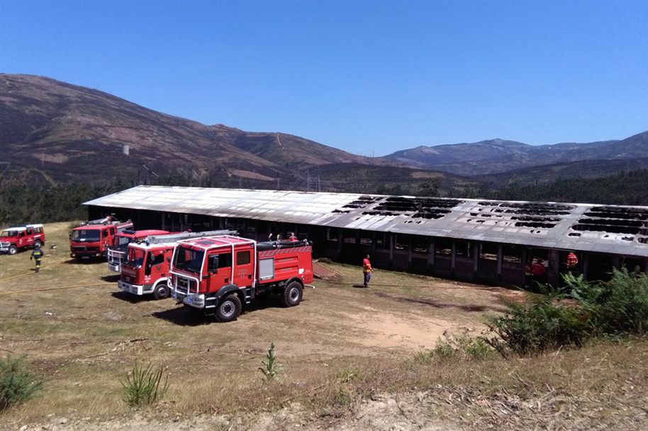 Aviário ficou parcialmente destruído Foto Ana Peixoto Fernandes/jn