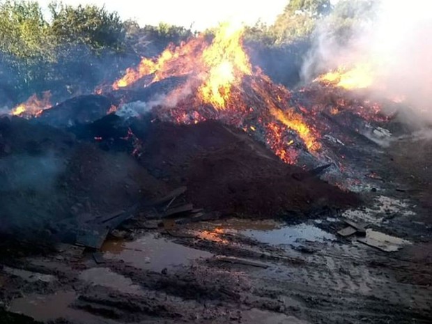 Bombeiros em Uberlândia controlam fogo em galpão no Bairro Industrial (Foto: Corpo de Bombeiros/Divulgação)