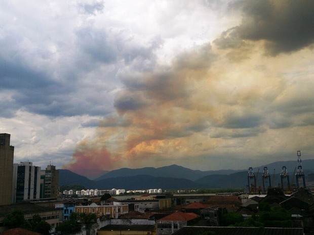 Incêndio pode ser visto de Santos, SP (Foto: Orion Pires/G1)