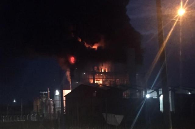 Foto: Tiago Furlan / Arquivo Pessoal